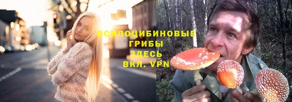 круглые Богородск